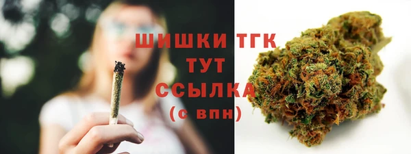 мет Ельня