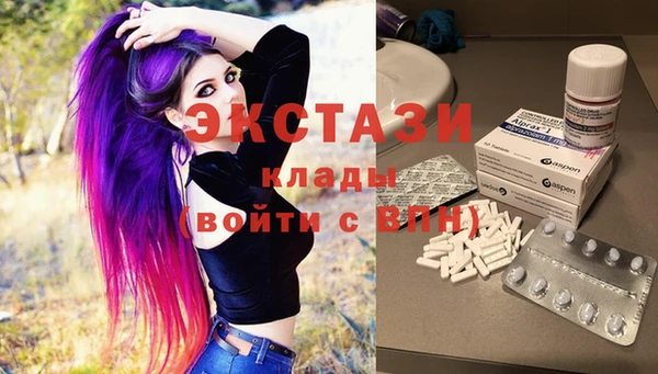 мет Ельня
