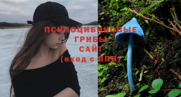 метадон Елизово