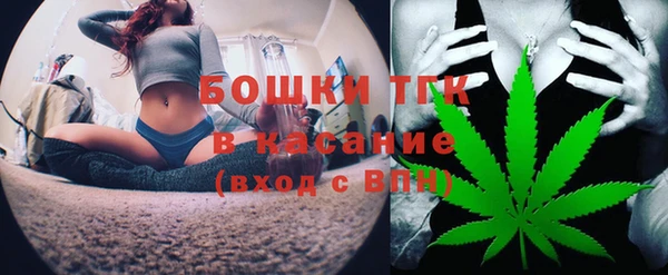 ПСИЛОЦИБИНОВЫЕ ГРИБЫ Дмитриев