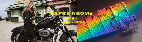 ПСИЛОЦИБИНОВЫЕ ГРИБЫ Дмитриев